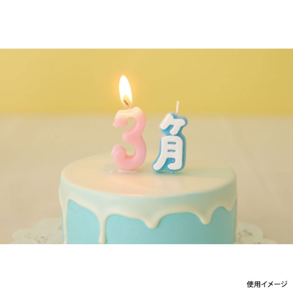 贈答用飾り ヶ月キャンドル カメヤマ