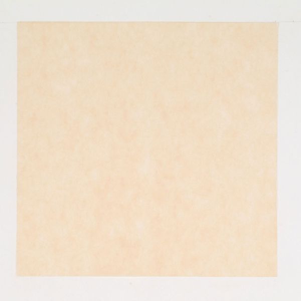 不織布 風呂敷 パステルカラー ベージュ 66×66cm 東京メディカル