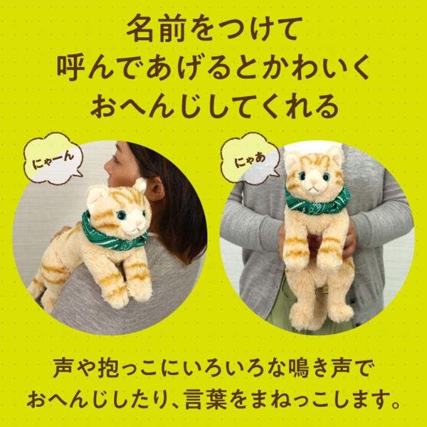 よんで！だっこして！おへんじアニマル 猫 アーテック