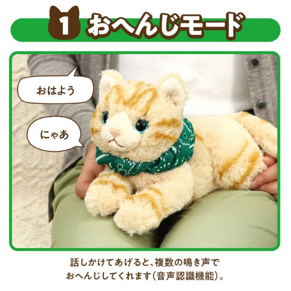 よんで！だっこして！おへんじアニマル 猫 アーテック