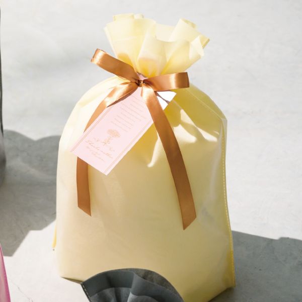 不織布袋 2重不織布リボン付バッグ-M クリーム(10枚) ヘッズ