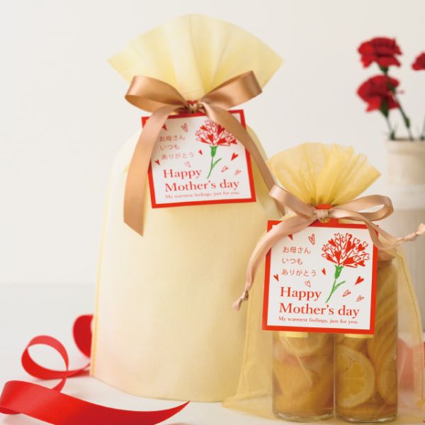 不織布袋 2重不織布リボン付バッグ-S クリーム(20枚) ヘッズ