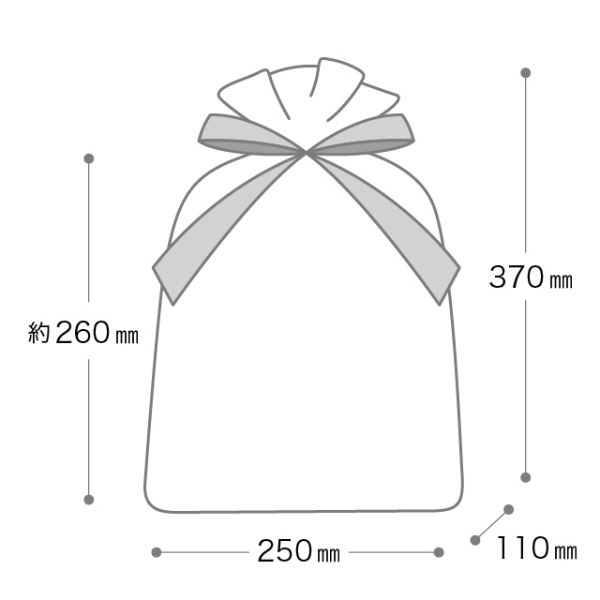 不織布袋 2重不織布リボン付バッグ-S クリーム(20枚) ヘッズ