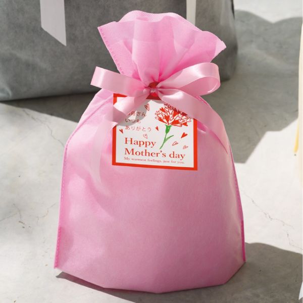 不織布袋 2重不織布リボン付バッグ-S ピンク(20枚) ヘッズ