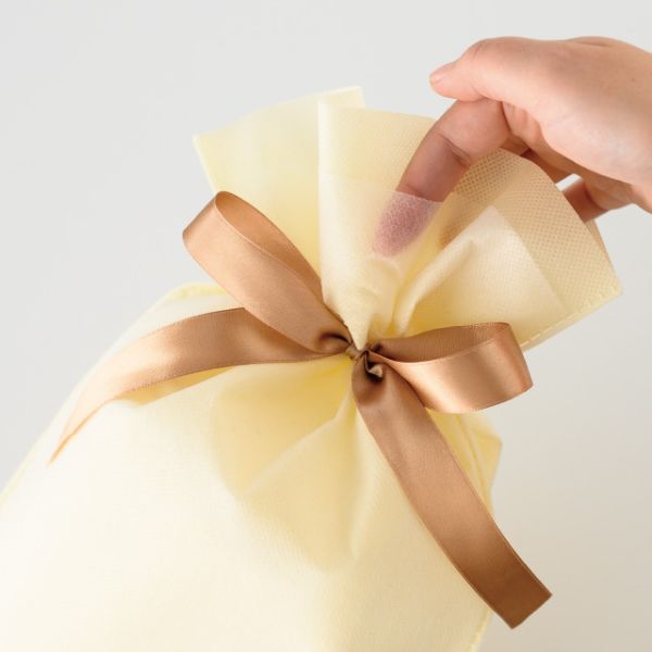 不織布袋 2重不織布リボン付バッグ-XS クリーム(20枚) ヘッズ