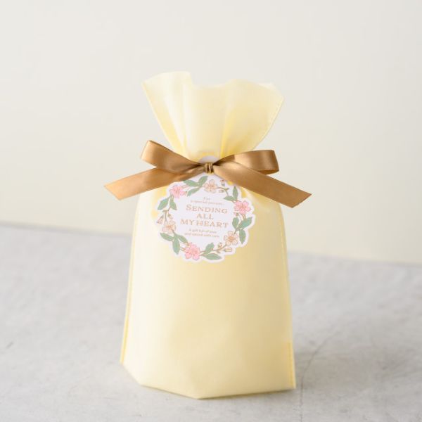 不織布袋 2重不織布リボン付バッグ-XS クリーム(20枚) ヘッズ