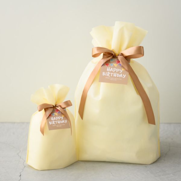 不織布袋 2重不織布リボン付バッグ-XS クリーム(20枚) ヘッズ