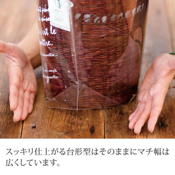 テープ無 OPP袋 BKF ギフトOPPポットバッグ-M(50枚) ヘッズ