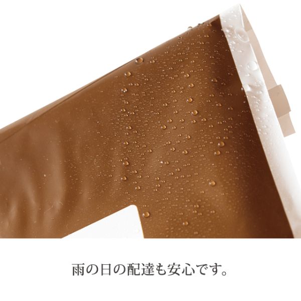 ヘッズ  BKF 宅配バッグ-4(50枚)