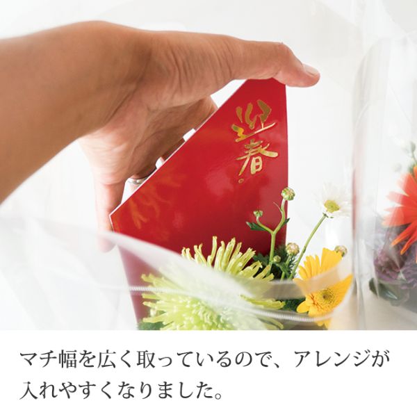 ポリ手提げ NEW無地クリアスタンドバッグ-S(30枚) ヘッズ