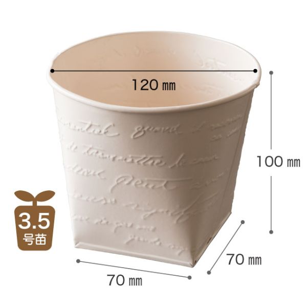 フラワー什器 NFブリキポット-3 クリーム(6個) ヘッズ
