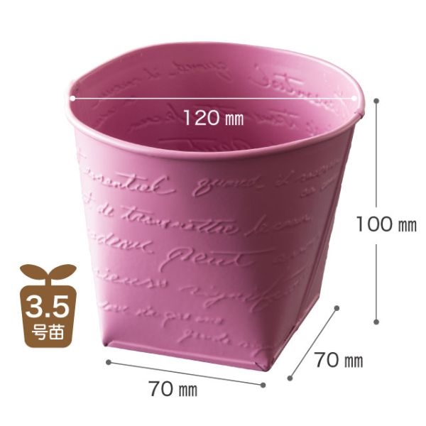 フラワー什器 NFブリキポット-3 ローズ(6個) ヘッズ