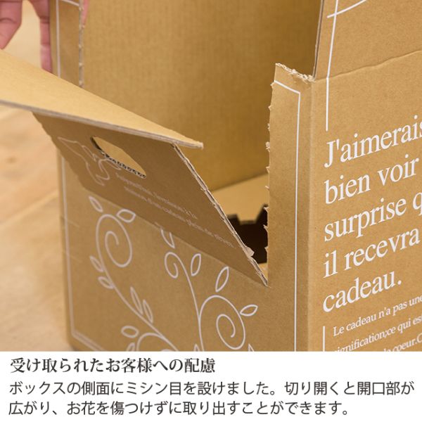 宅配箱 アジャストデリバリーカートン-3(20枚) ヘッズ