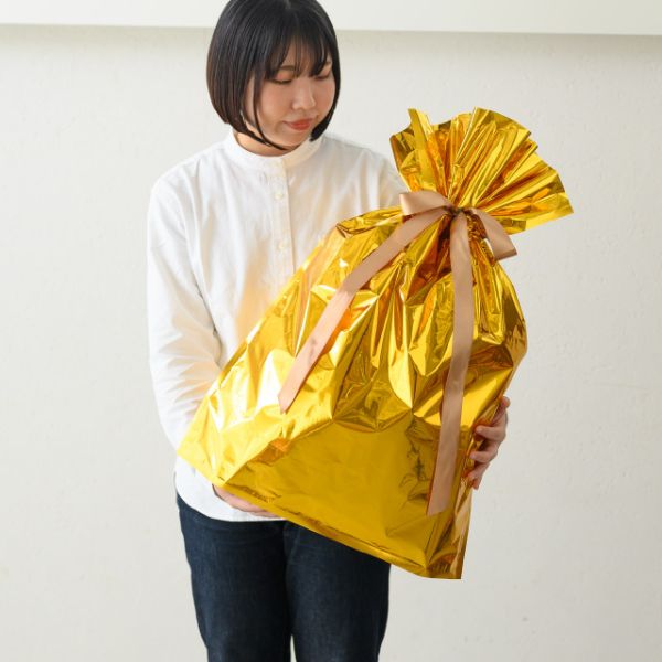 袋 アルミ蒸着リボン付バッグ-L ゴールド(10枚) ヘッズ