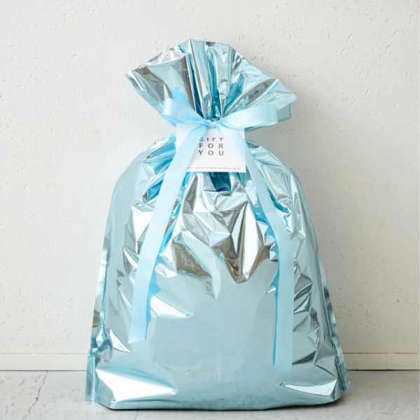 袋 アルミ蒸着リボン付バッグ-L ブルー(10枚) ヘッズ