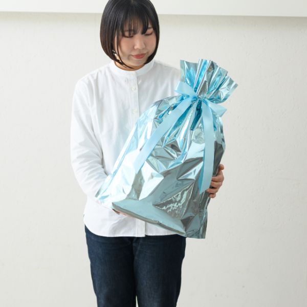 袋 アルミ蒸着リボン付バッグ-M ブルー(10枚) ヘッズ