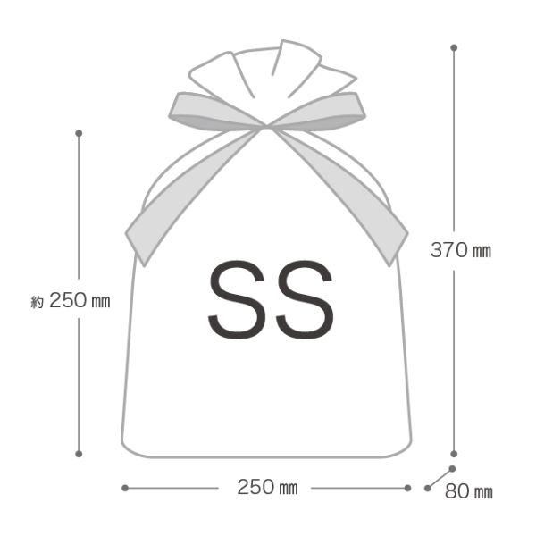 袋 アルミ蒸着リボン付バッグ-SS ブルー(20枚) ヘッズ