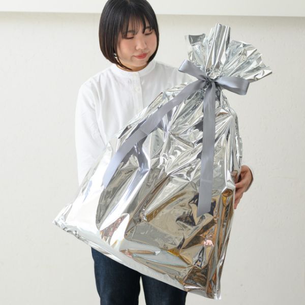 袋 アルミ蒸着リボン付バッグ-XL シルバー(10枚) ヘッズ