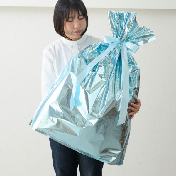 袋 アルミ蒸着リボン付バッグ-XL ブルー(10枚) ヘッズ