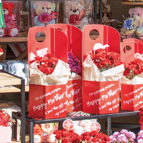 贈答用飾り イージーフラワーペーパーボックス-L 母の日(10枚) ヘッズ