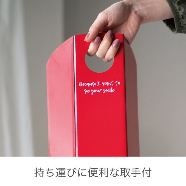 贈答用飾り イージーフラワーペーパーボックス-L 母の日(10枚) ヘッズ