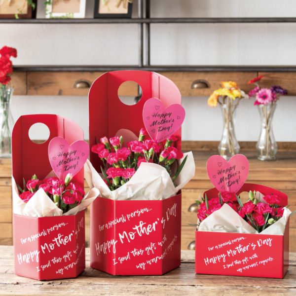 贈答用飾り イージーフラワーペーパーボックス-M 母の日(10枚) ヘッズ