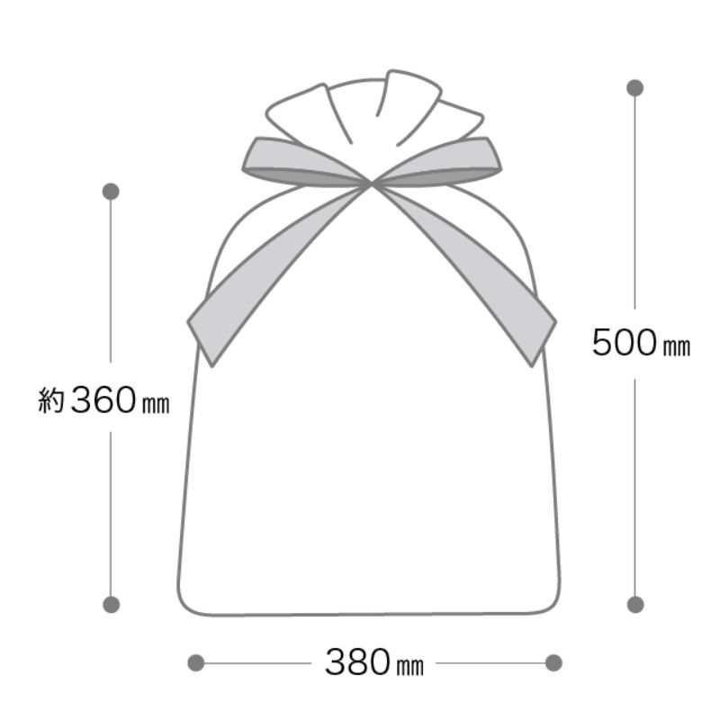袋 オーガンジーバッグ シャンパンゴールド-XL(10枚) ヘッズ
