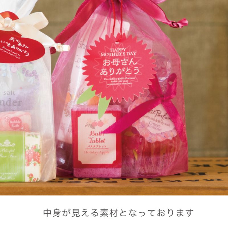 袋 オーガンジーバッグ モーブ-SS(10枚) ヘッズ
