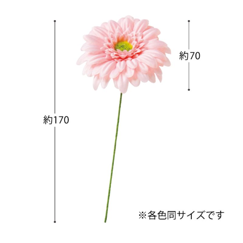 贈答用飾り ガーベラフルリール-S ベビーピンク-1(12本) ヘッズ