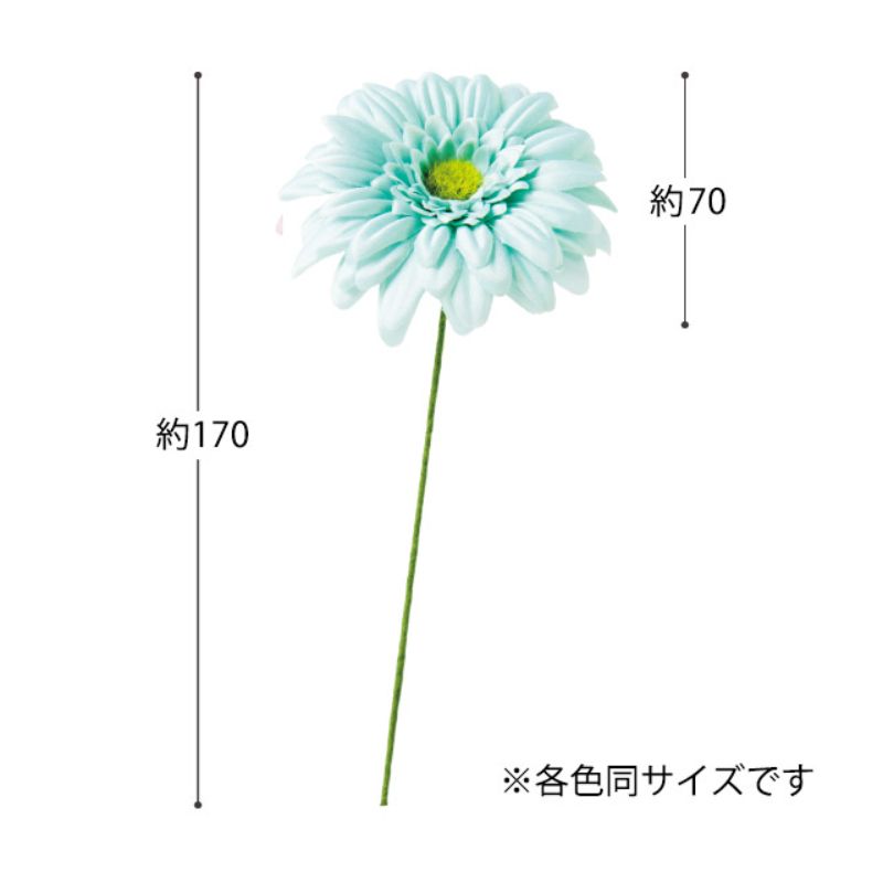 贈答用飾り ガーベラフルリール-S ベビーブルー-3(12本) ヘッズ