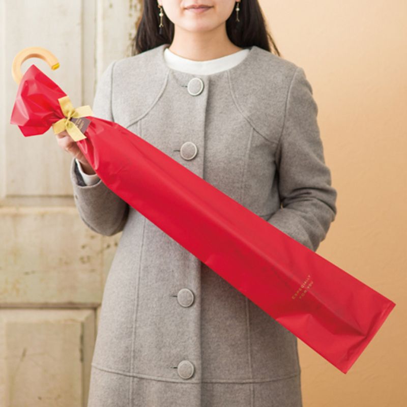 袋 シンプル縦長バッグレッド-TXL(20枚) ヘッズ