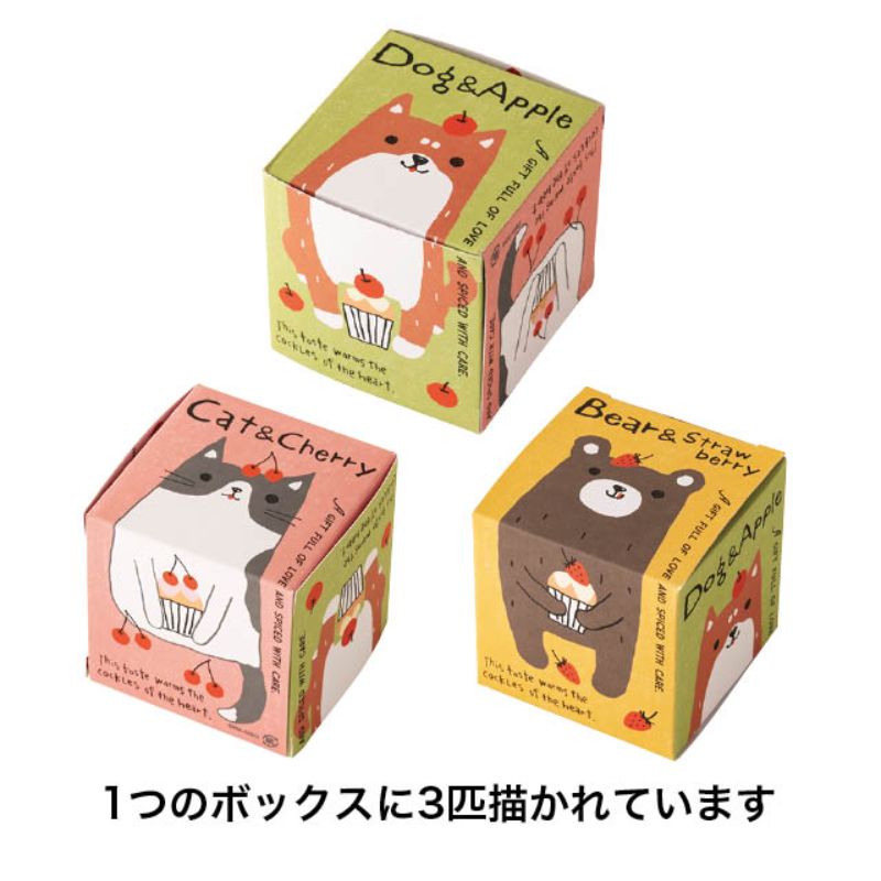 ギフト箱 スイートアニマルキューブボックス(20枚) ヘッズ