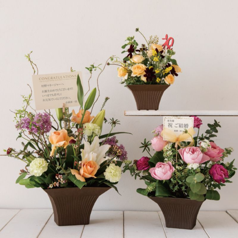 スマートアレンジポット-L(6個) ヘッズ