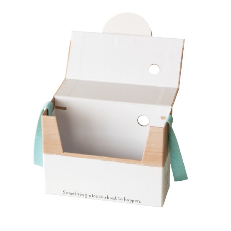 ギフト箱 スマイルカメラ貼箱-S(6個) ヘッズ