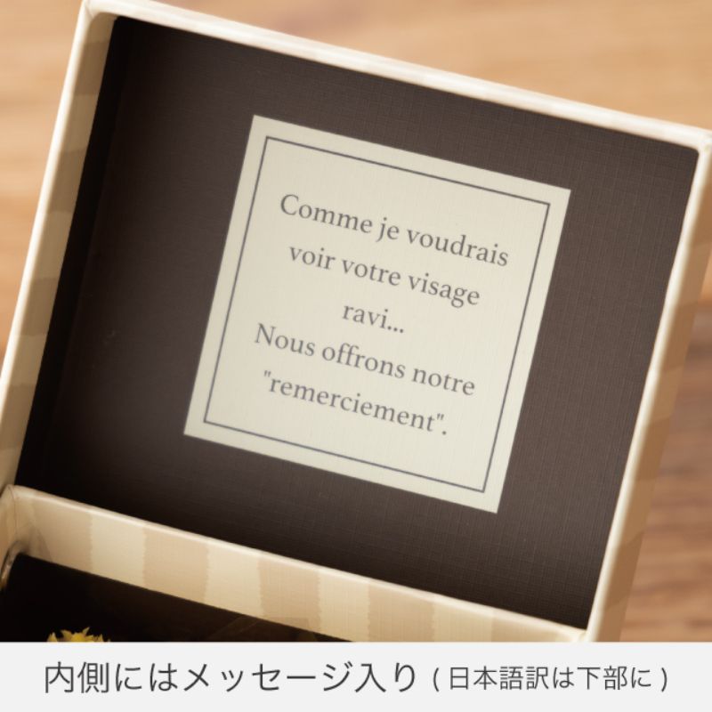 ギフト箱 ナチュラルストライプオープンボックス-S(6個) ヘッズ