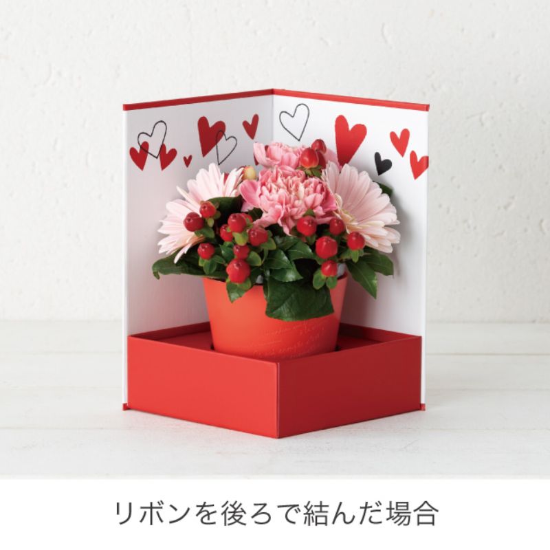 ギフト箱 ハートフルギフトステージボックス-M(4個) ヘッズ