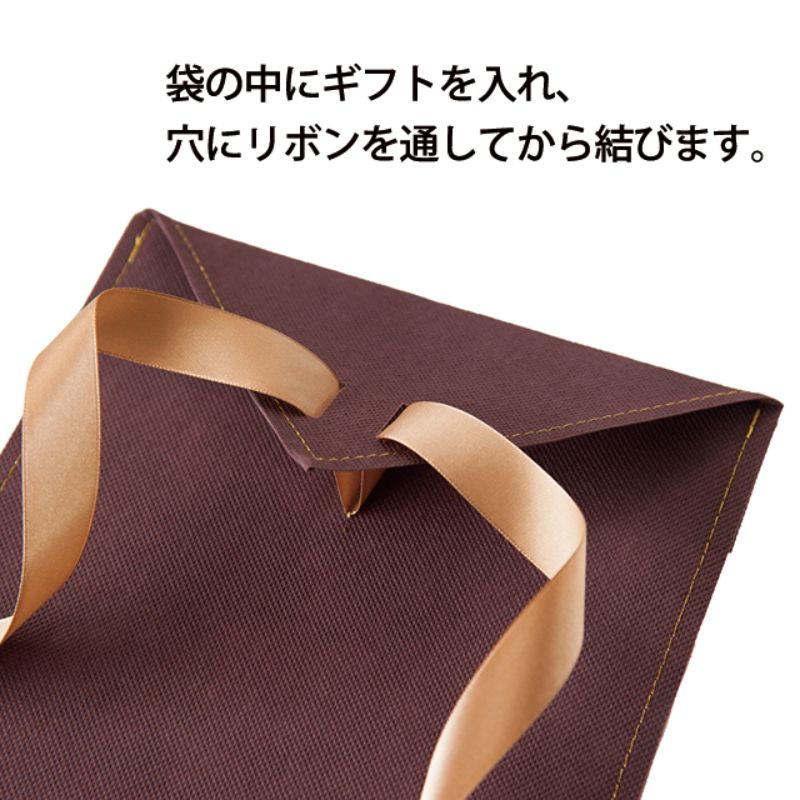 ヘッズ リボン付き袋 ハイクラスネイビーギフトバッグ-M(10枚)