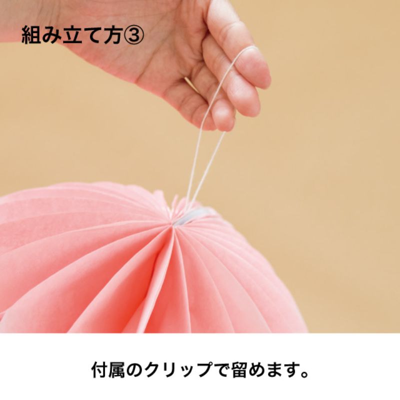 ヘッズ 店内装飾 ハニカムダイカット マスカット-4(2個)