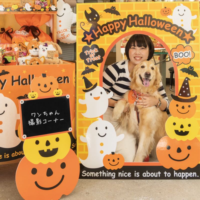 イベントグッズ ハロウィン顔ダシパネル-1(1セット) ヘッズ