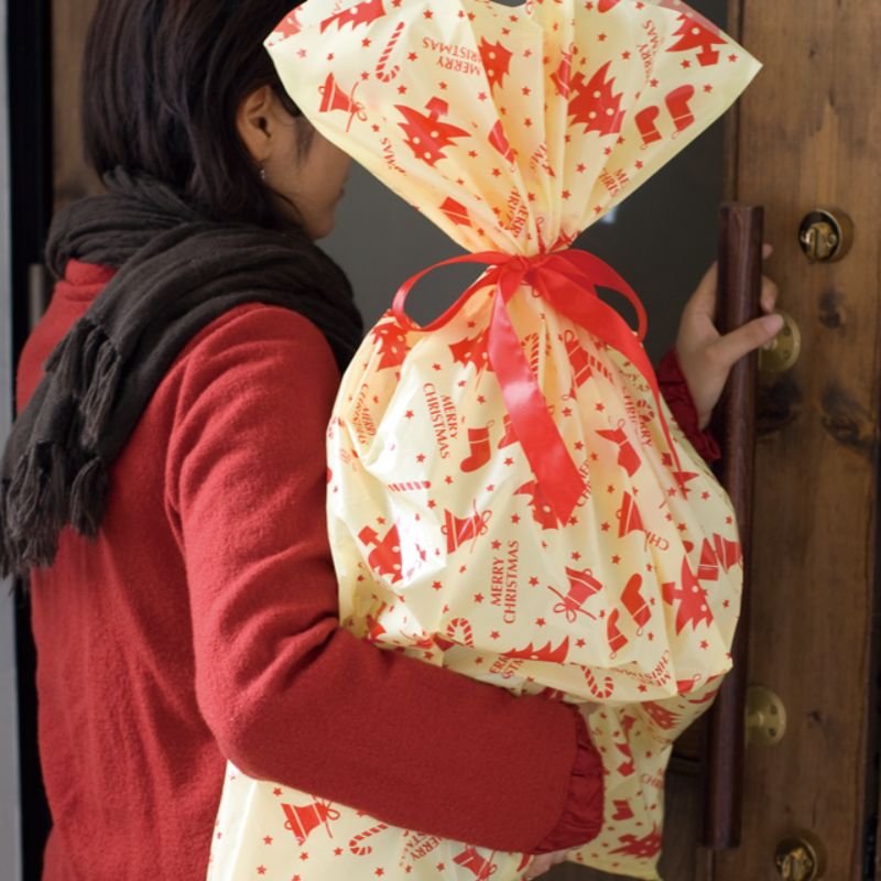 袋 プチキュートジャンボギフトバッグ(10枚) ヘッズ