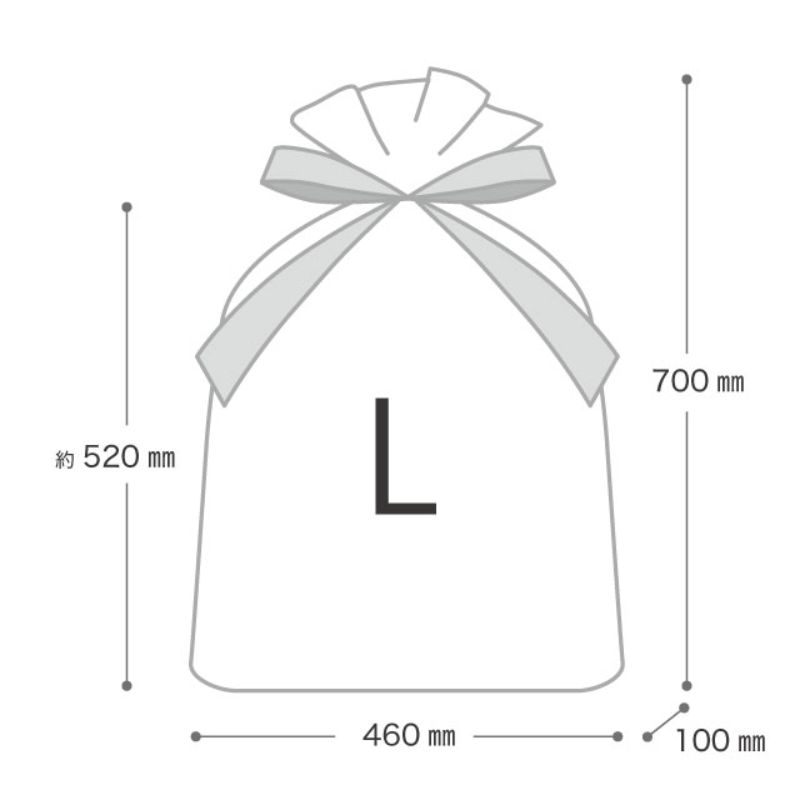 袋 プチキュートリボン付PEギフトバッグ-L(20枚) ヘッズ