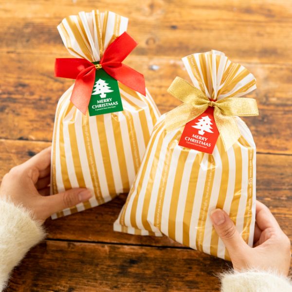 プチキュートリボン付ワイヤータイ-レッド(10個) ヘッズ