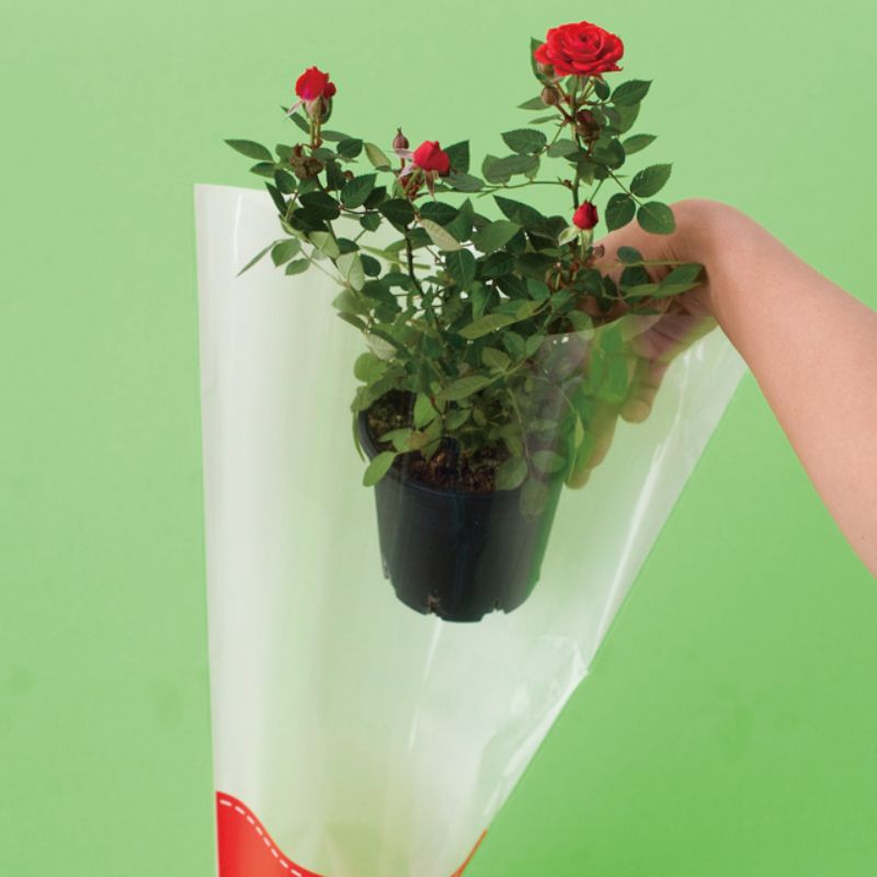 袋 フラワーギフトOPPバッグ-5(50枚) ヘッズ