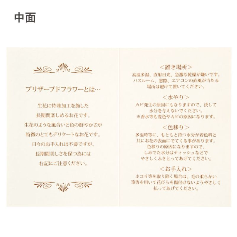 プリザーブドフラワーメンテナンスカード-5(30枚) ヘッズ