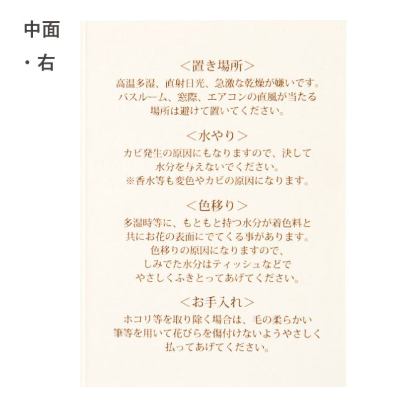 プリザーブドフラワーメンテナンスカード-5(30枚) ヘッズ