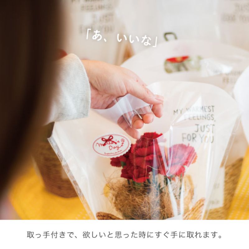 スタンド袋 ブリティッシュスタイルスタンドバッグ-M(50枚) ヘッズ