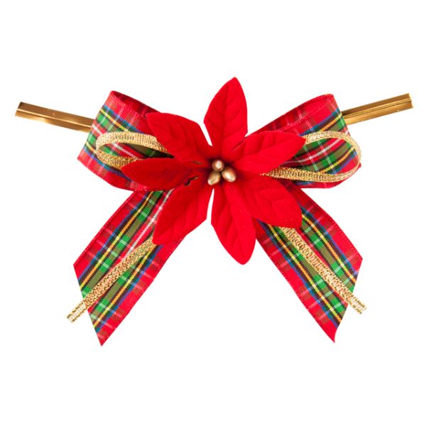 ポインセチアフルリールワイヤータイ-2(10個) ヘッズ