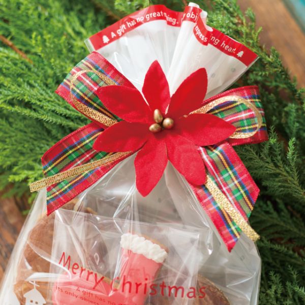 ポインセチアフルリールワイヤータイ-2(10個) ヘッズ