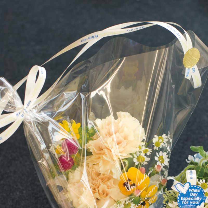 ホワイトデイプリントカーリングリボン-1(1巻) ヘッズ