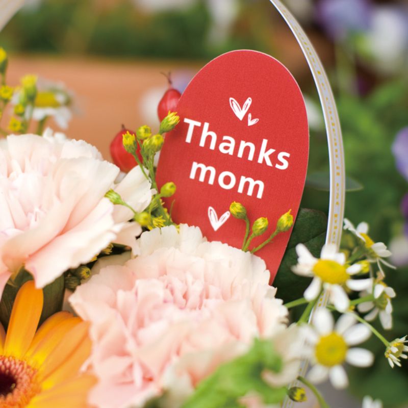 贈答用飾り マザーズデイフラワーPPピック-6 カジュアル(30枚) ヘッズ